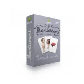 Cărți de joc Montessori — Corpul uman,Vocabular — GAMA