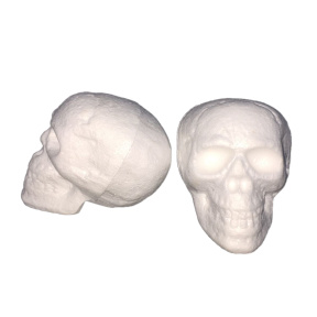 Formă din polistiren, Craniu, 15 cm
