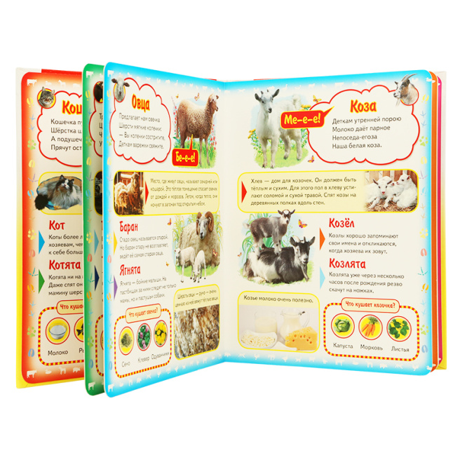 Моя первая книга. О домашних животных