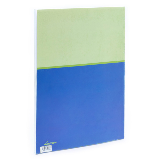 Limba și literatura română.Cl.9. Teste integrative