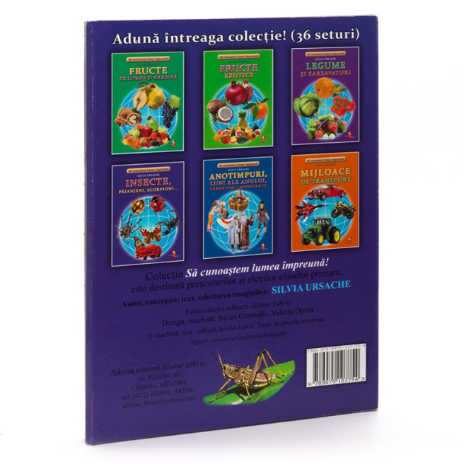 Fișe " Insecte, păianjeni, scorpioni "