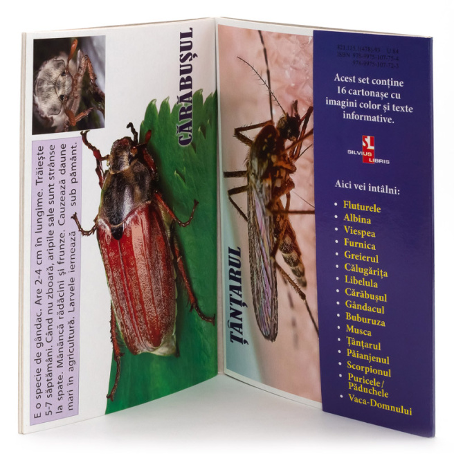 Fișe " Insecte, păianjeni, scorpioni "