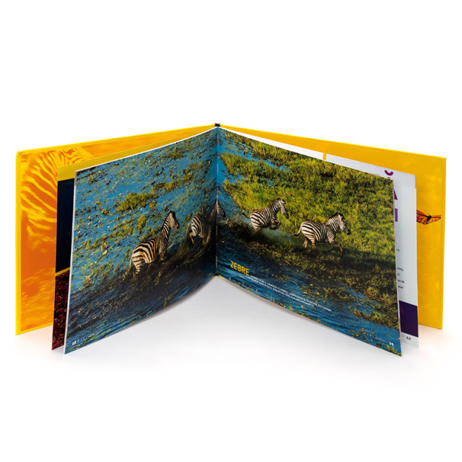 National Geographic kids. Mari migrații.Animale extraordinare în mișcare