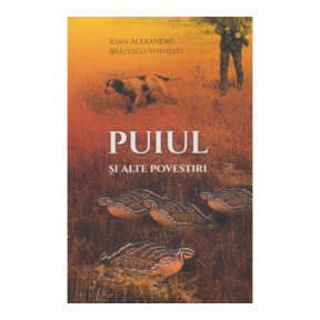 Puiul și alte povestiri