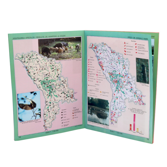 Atlas geografic cl.8-9.