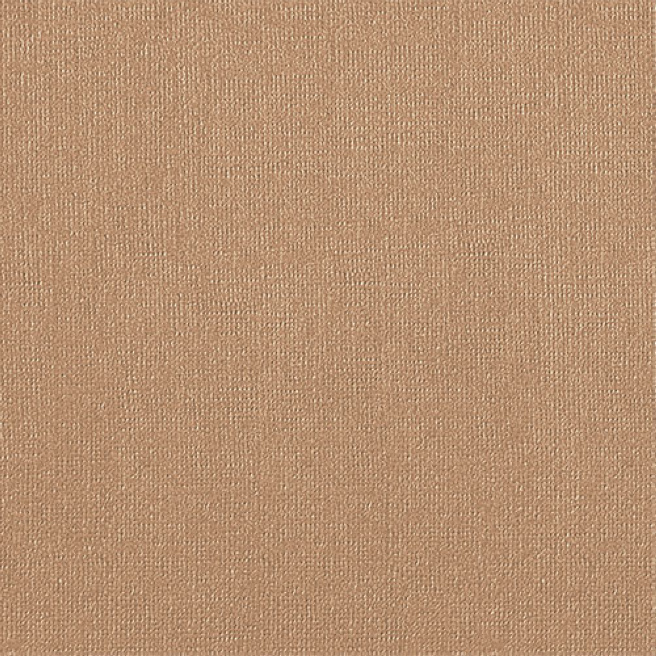 Hartie pentru pastel "Palazzo" 500х700 "Latte" (bej) 160gr-1 foaie