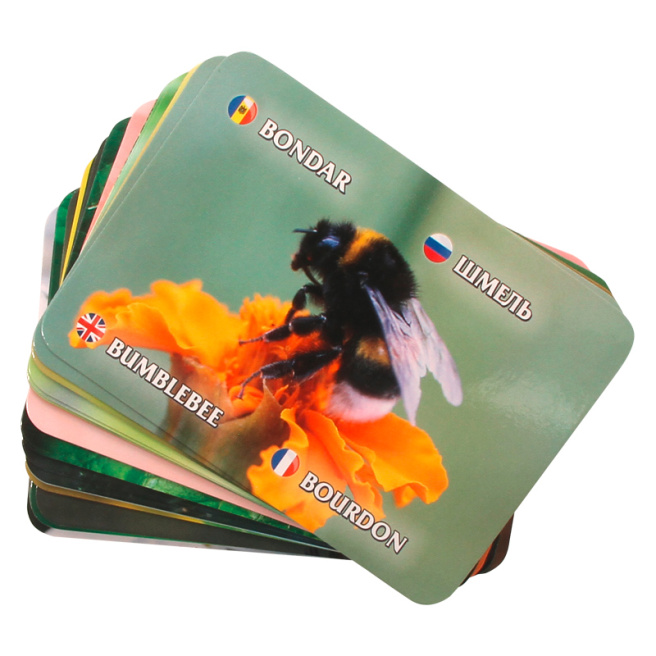 Joc de memorie. Insecte