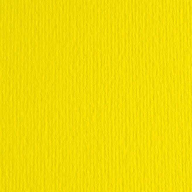 Бумага для пастелей LR 220гр, 70x100см Giallo