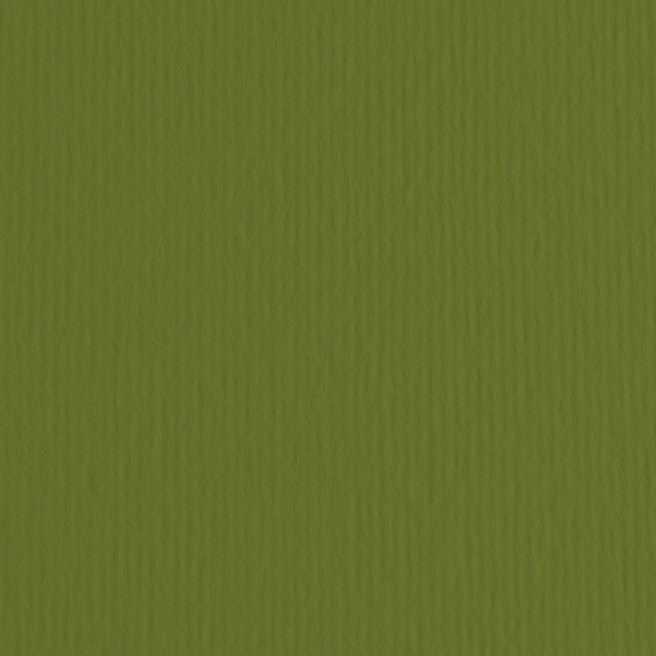Картон цветной ER Verdone 70x100см, 220гр