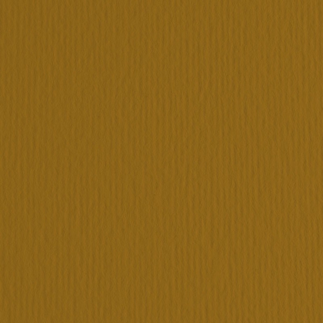 Картон цветной ER Marrone 70x100см, 220гр