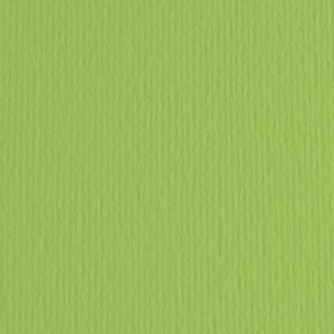 Картон цветной ER Verde pisello 50x70см, 220гр