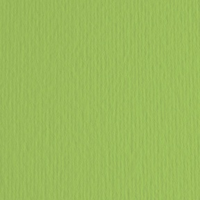 Carton color ER Verde pisello 50x70cm, 220gr