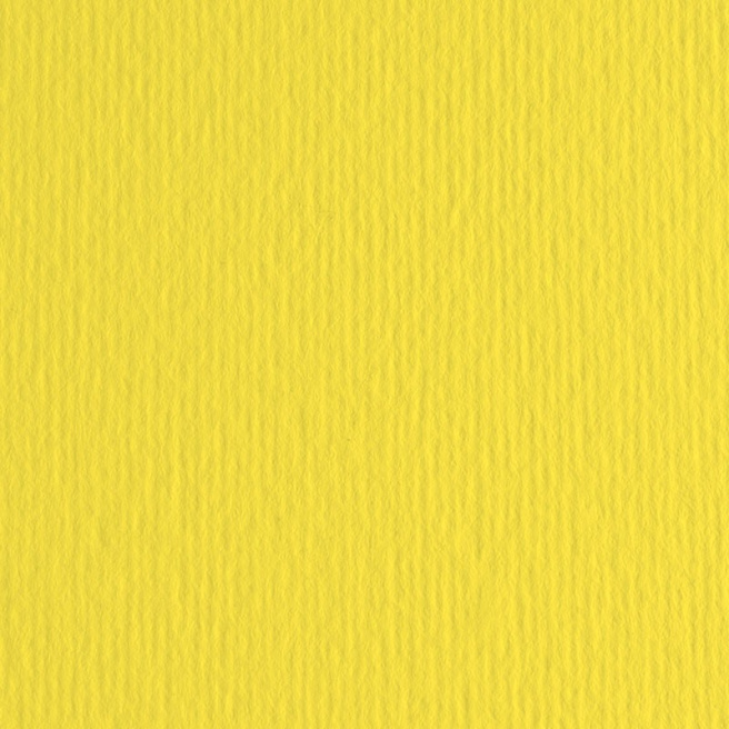 Картон цветной ER Cedro 50x70см, 220гр