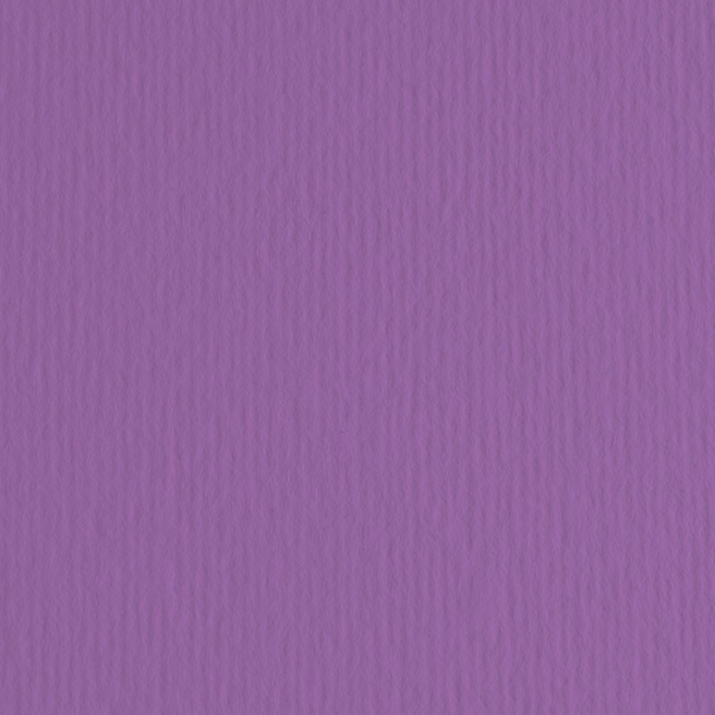 Картон цветной ER Viola 70x100см, 220гр