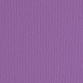 Картон цветной ER Viola 70x100см, 220гр