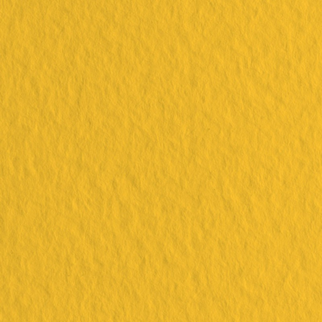 Бумага для пастели Tiziano - A4 Arancio, 160гр