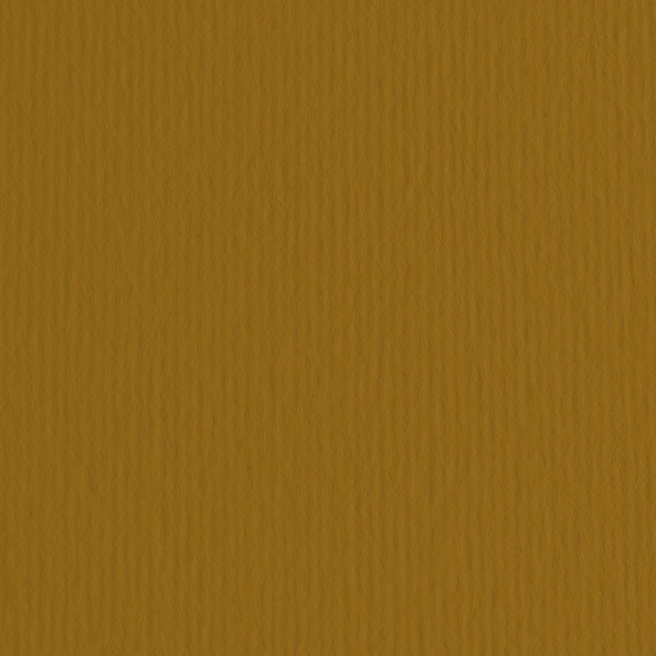 Картон цветной ER Marrone 50x70см, 220гр