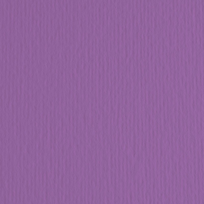 Картон цветной ER Viola 50x70см, 220гр