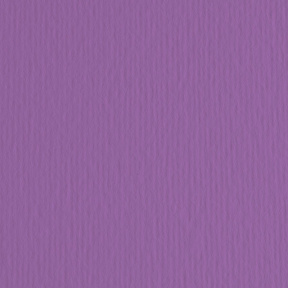 Картон цветной ER Viola 50x70см, 220гр