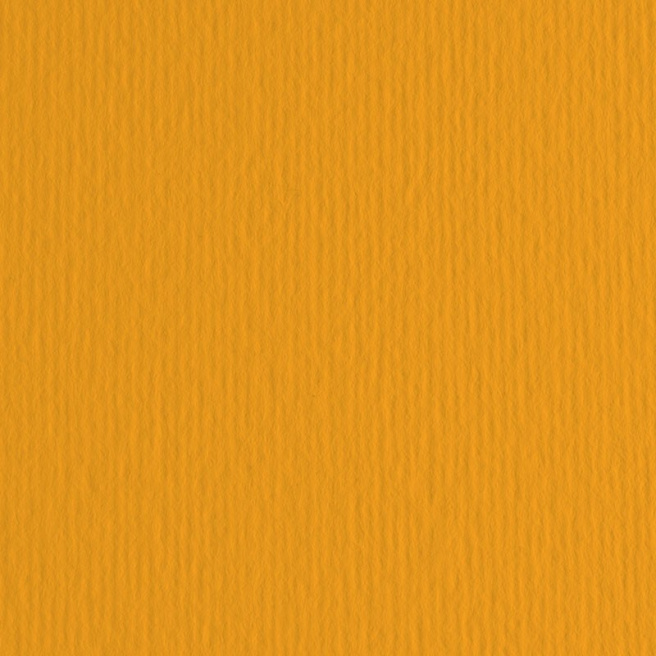 Картон цветной ER Aragosta 70x100см, 220гр