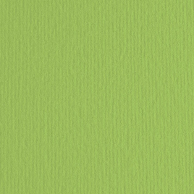 Картон цветной ER Verde pisello 70x100см, 220гр