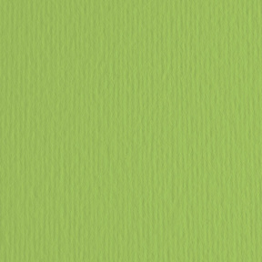 Carton color ER Verde pisello 70x100cm, 220gr