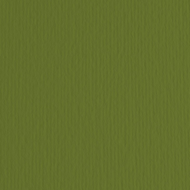 Картон цветной ER Verdone 50x70см, 220гр