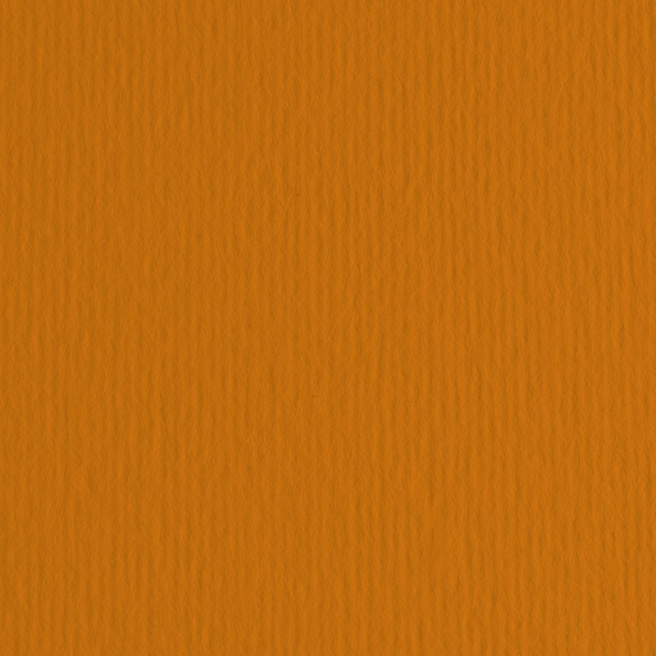 Картон цветной ER Terra bruciata 70x100см, 220гр