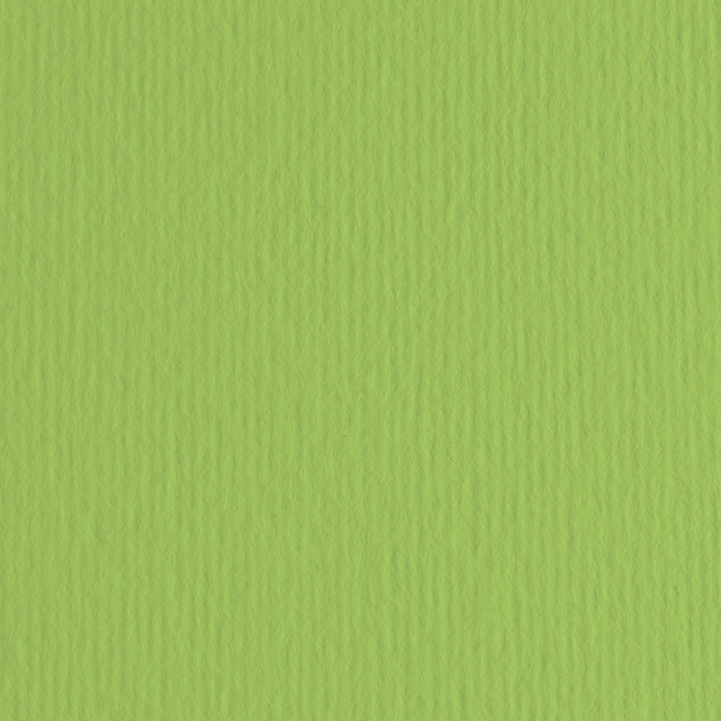 Бумага для пастели Cartacrea A4 Verde pisello, 220гр