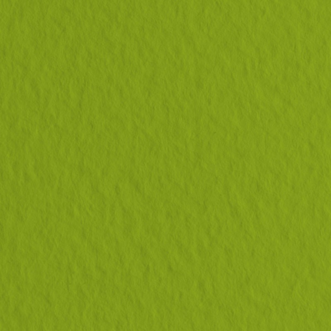 Бумага для пастели Tiziano - A4 Pistacchio, 160гр