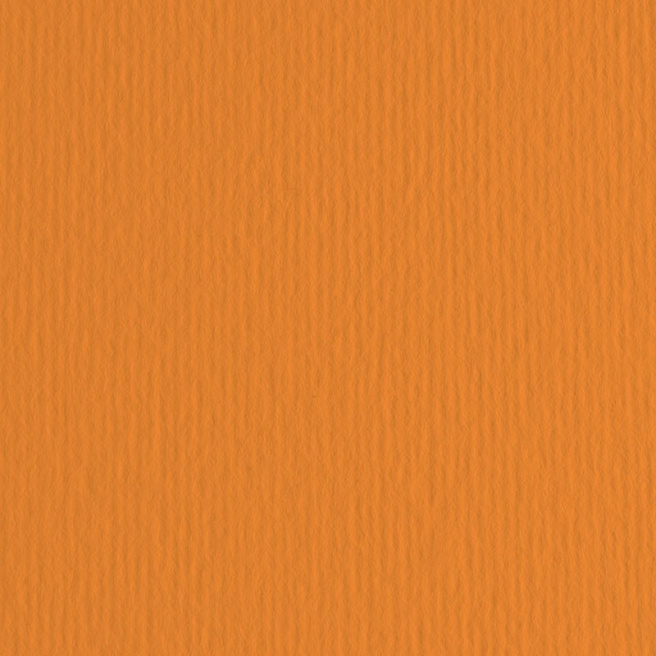 Картон цветной ER Arancio 50x70см, 220гр