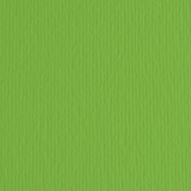 Carton color ER Verde 50x70cm, 220gr