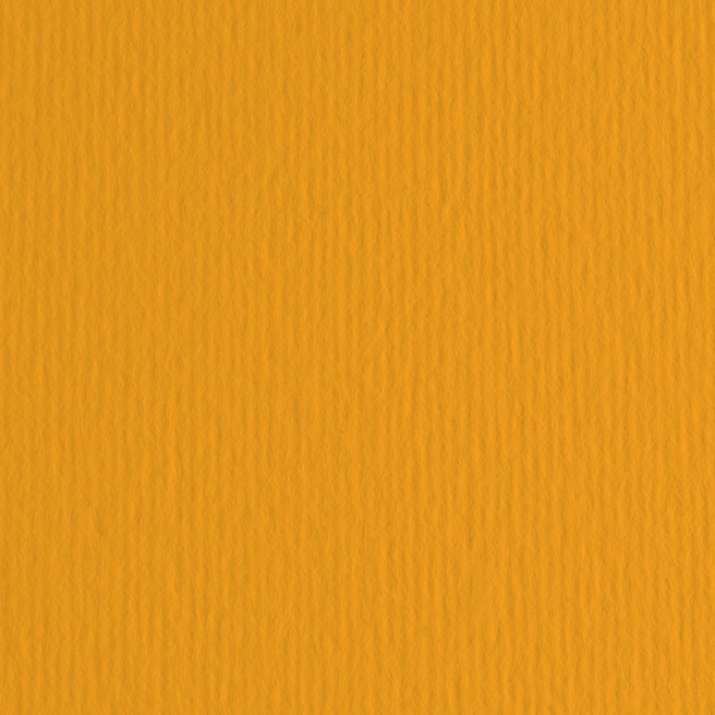 Carton color ER Aragosta 50x70cm, 220gr