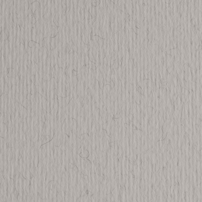 Бумага для пастелей LR 220гр, 50x70см China
