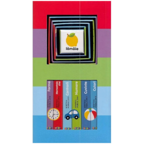 Bebeteca. Bebe învață. Set educativ: 6 cărți + 6 cuburi