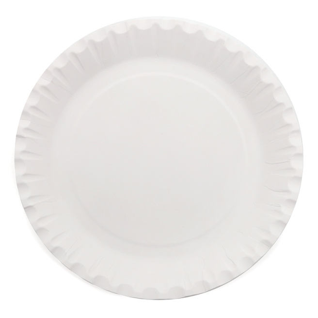 Farfurii de unică folosință BIO, plate, 210 mm (50 buc)