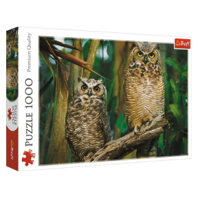 Bufnițe, 1000 elemente