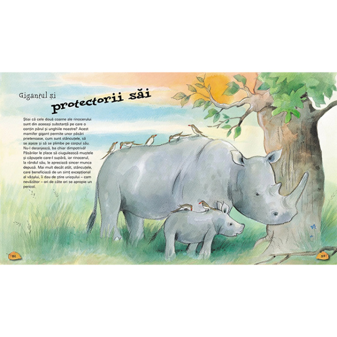 Din lumea plină de minuni a animalelor
