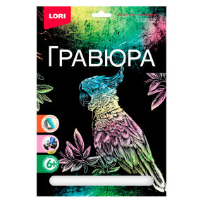 Gravură Lori mare „Papagal”