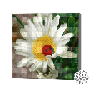 Божья коровка в ромашке, 20x20 см, алмазная мозаика, круглые кристаллы