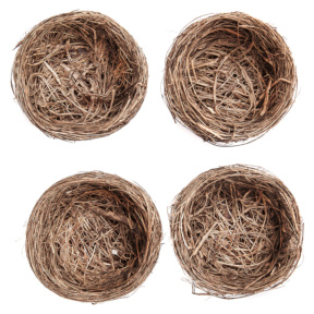 Декор для творчества, Гнездо, 9см, 4шт.