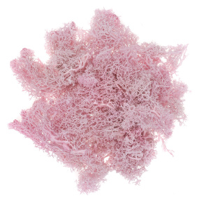 Decor pentru creție, Licheni roz, 30gr.