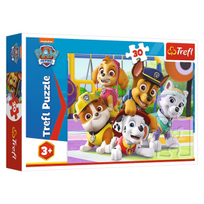 Paw Patrol mereu la timp, 30 elemente