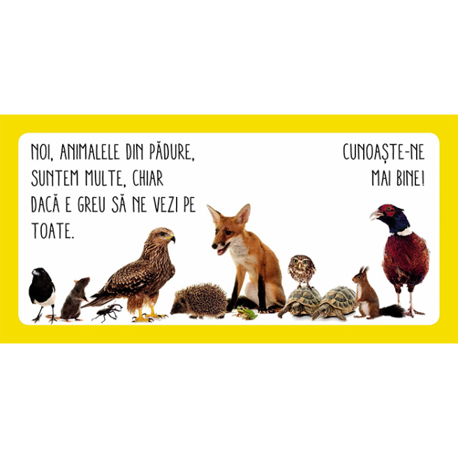 Animale din pădure. White Star