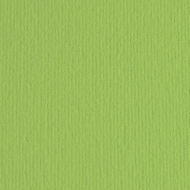 Бумага для пастели Cartacrea- 35x50 см Verde Pisello, 220гр