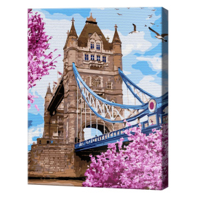 Тауэрский мост в Лондоне, 30х40 см, картина по номерам