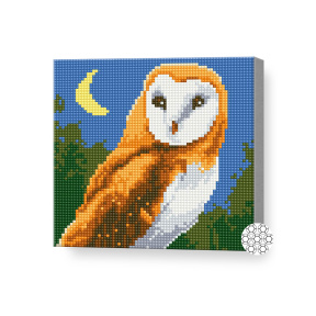 Strigăt de bufniță, 20x20 cm, mozaic cu diamante