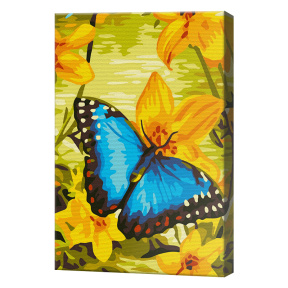 Бабочка на нарциссах, 20х30 см, картина по номерам