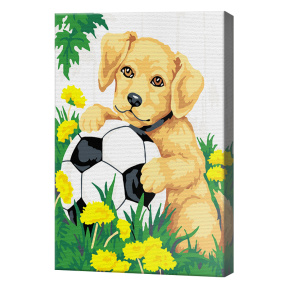 Cățeluș cu minge de fotbal, 20х30 cm, pictură pe numere