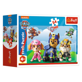 Fii ca Paw Patrol / Paw Patrol Viacom, "54 Mini"